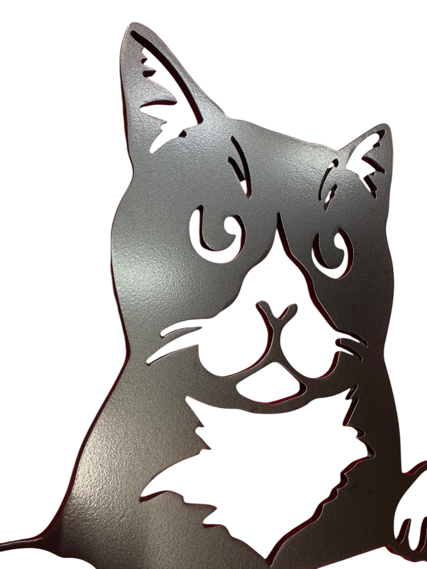 Cat Wall Art