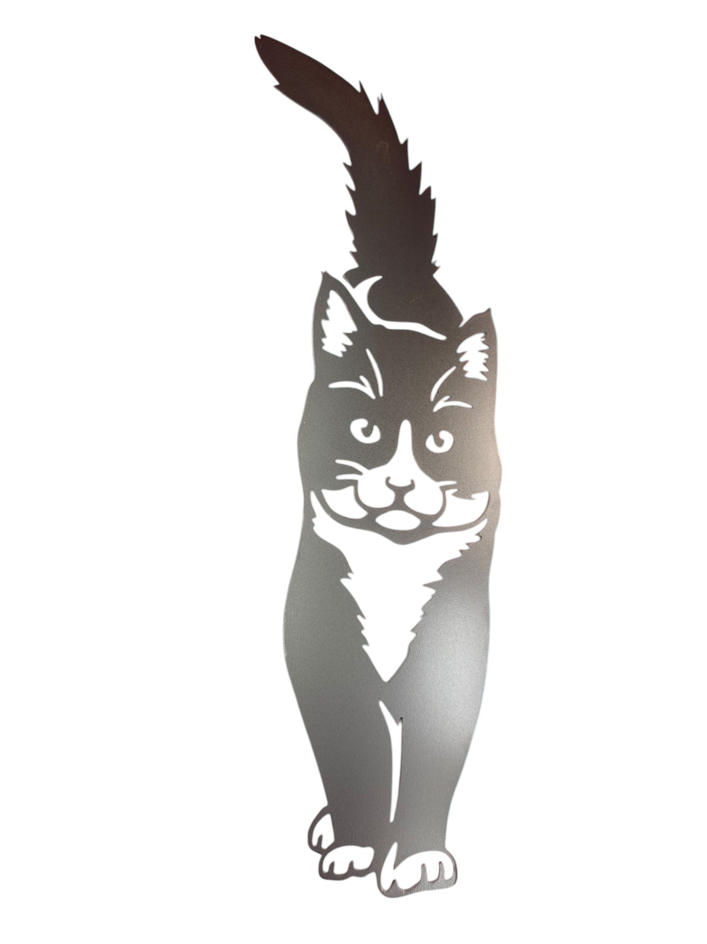 Cat Wall Art