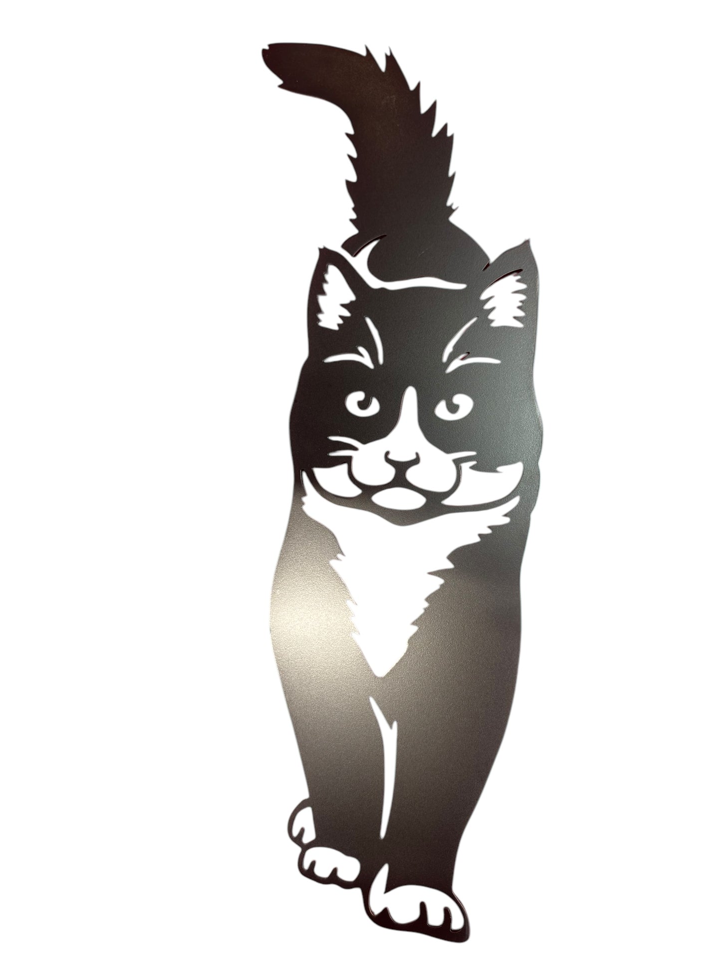Cat Wall Art