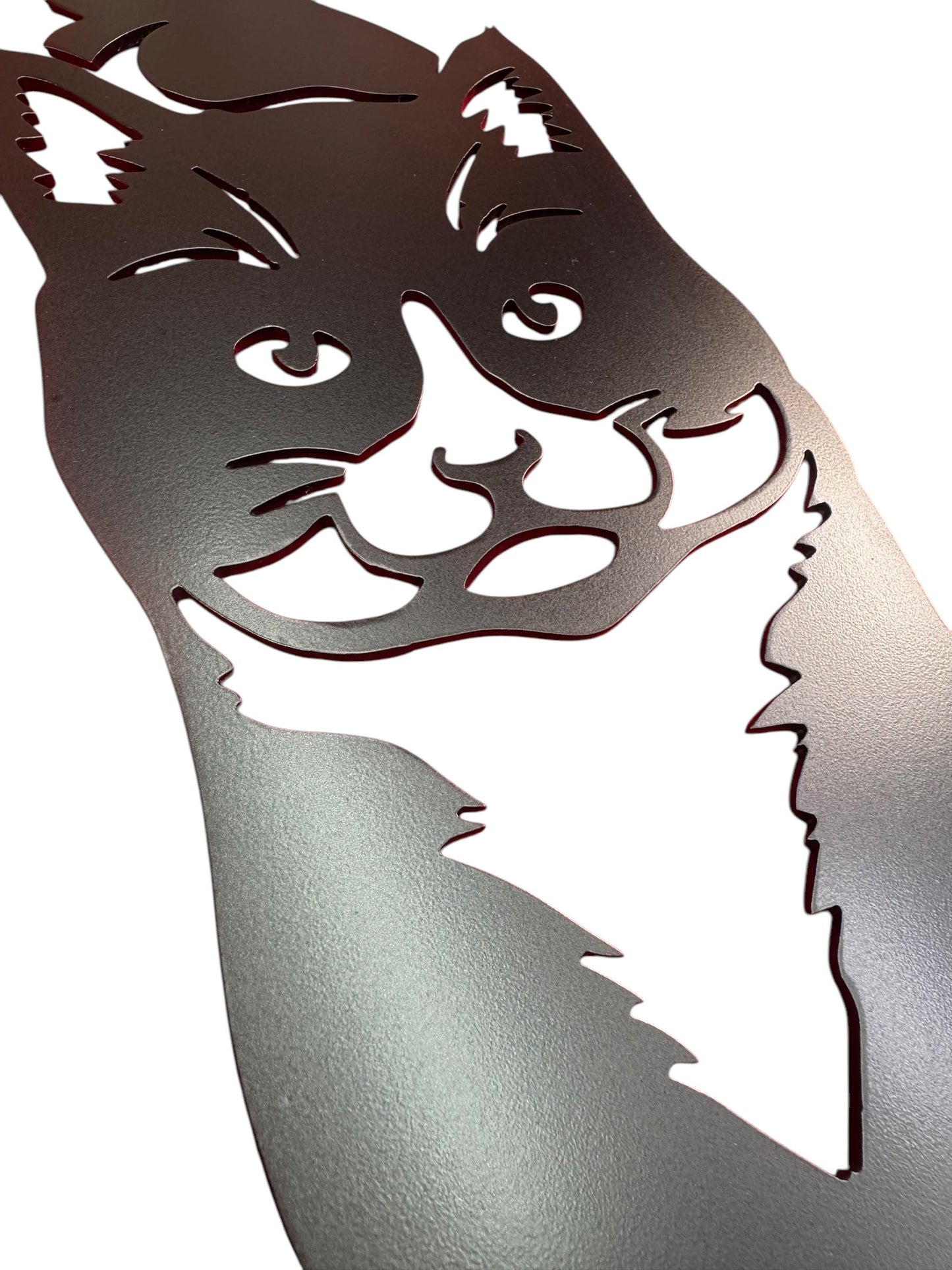 Cat Wall Art