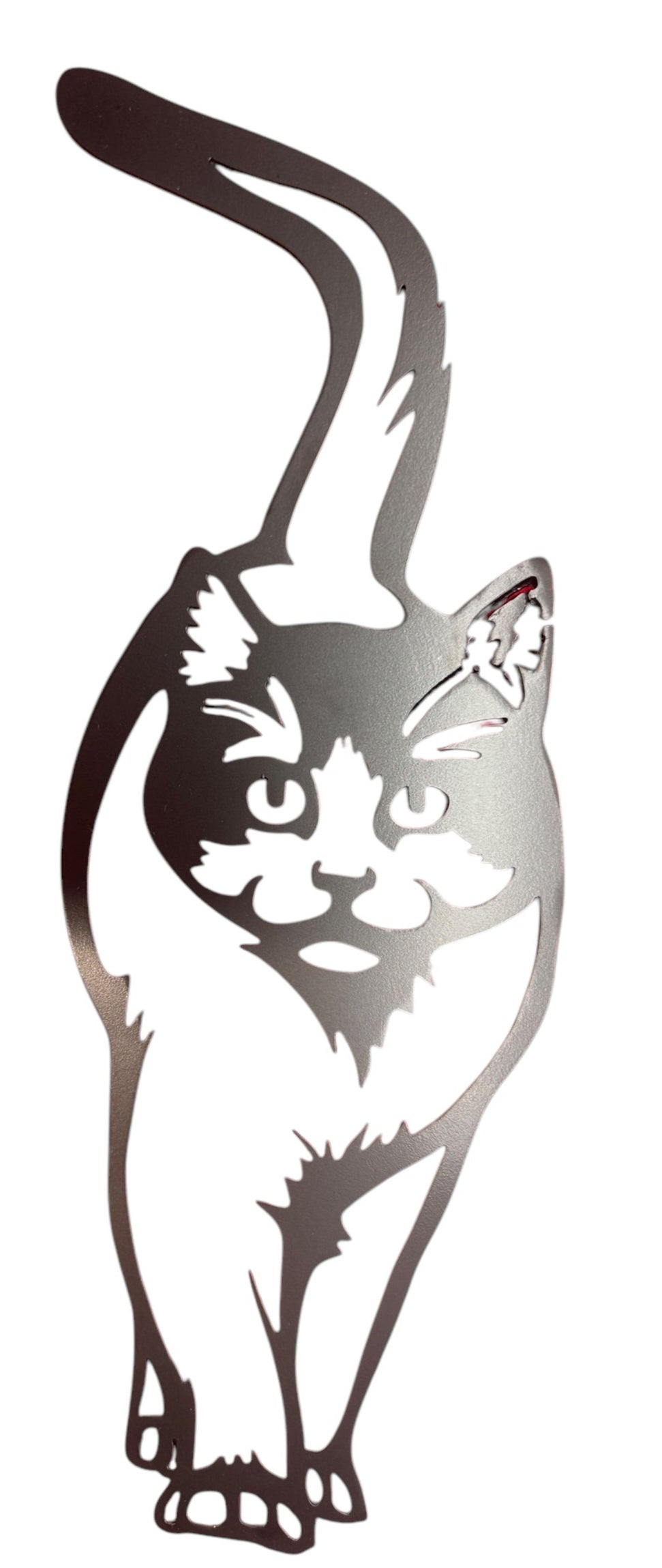 Cat Wall Art