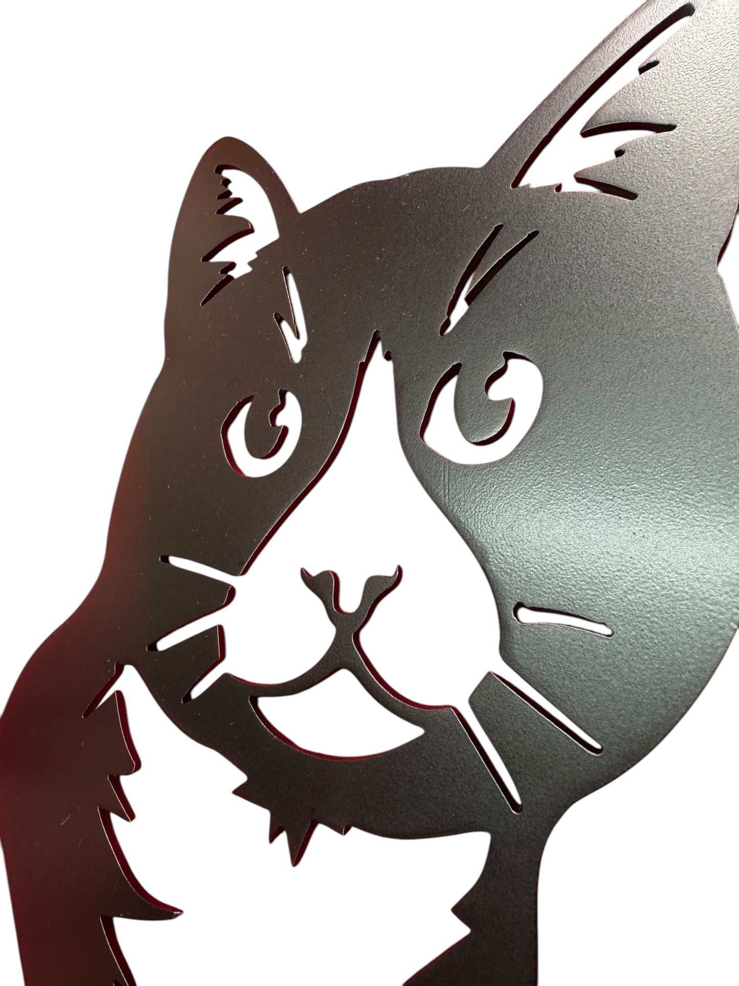 Cat Wall Art