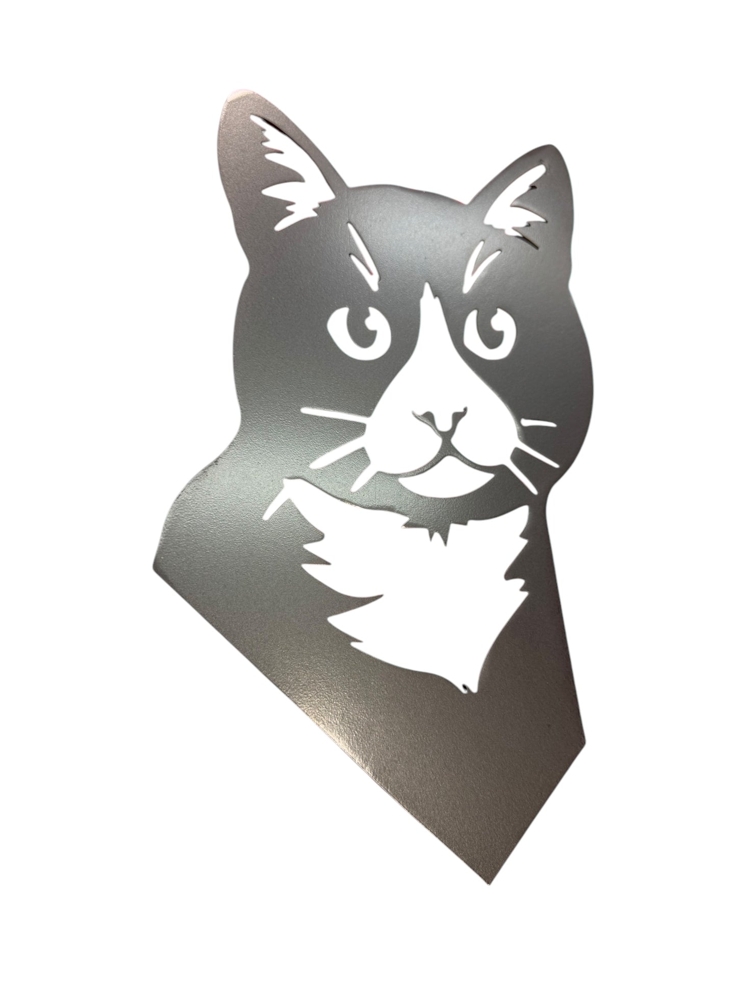 Cat Wall Art