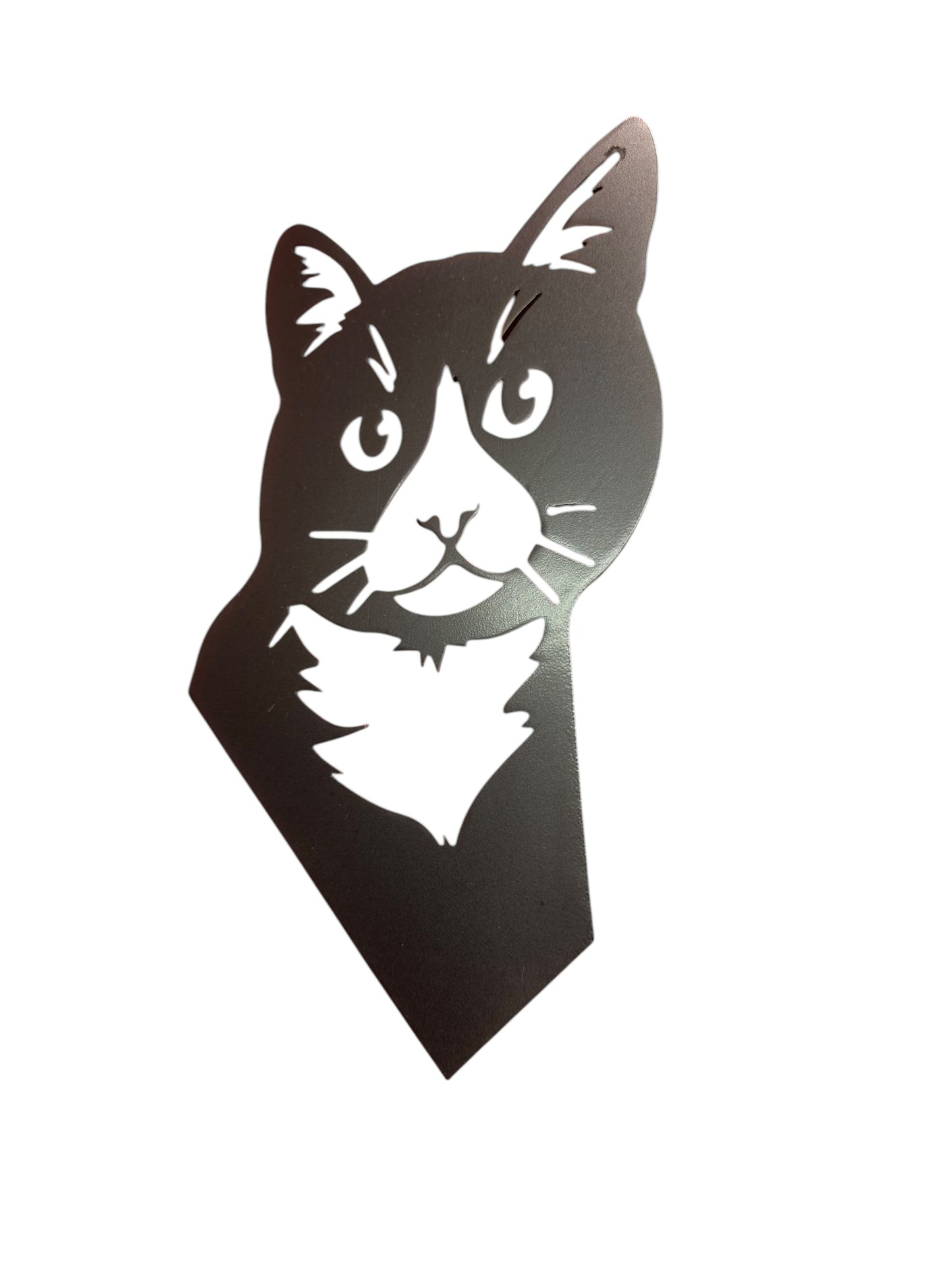 Cat Wall Art