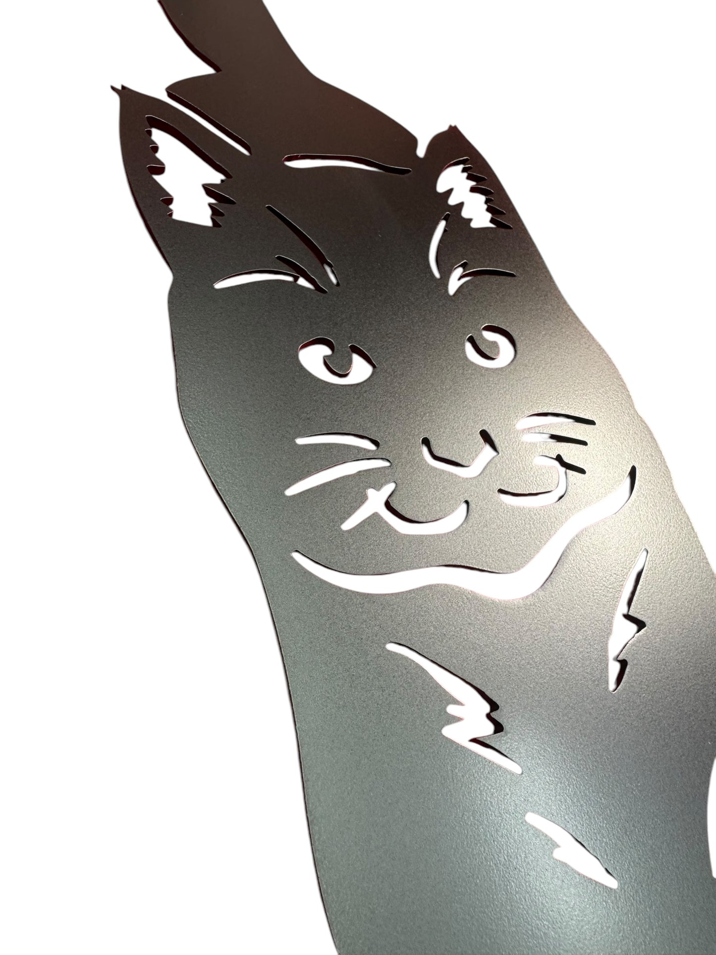 Cat Wall Art