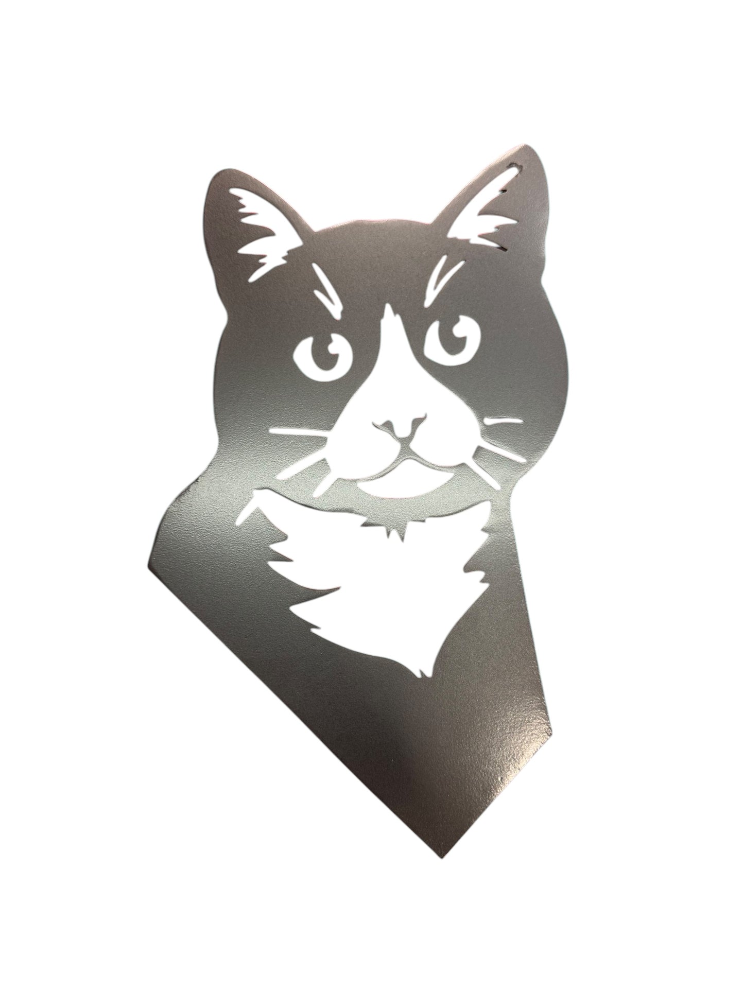 Cat Wall Art