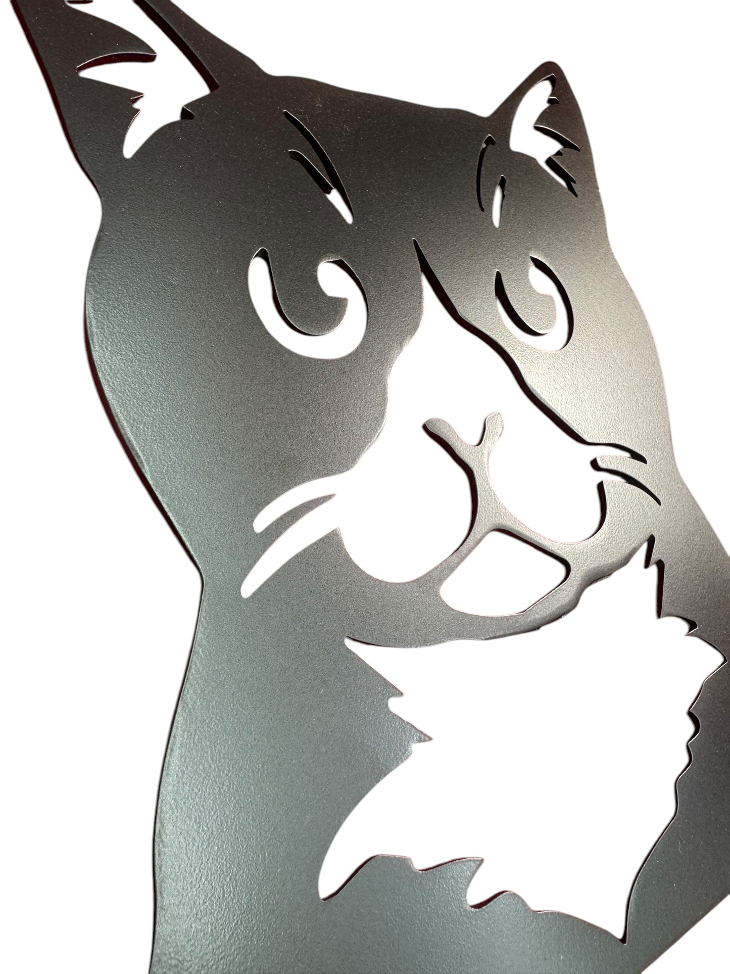 Cat Wall Art