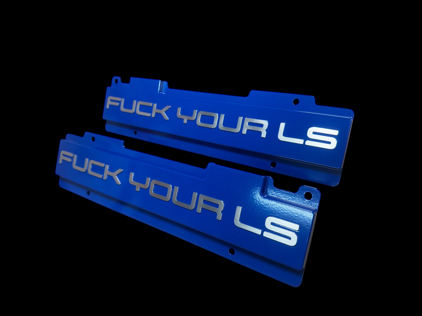 F-Your LS Mustang 96-98 Cobra 93-96 Lincoln Mark VIII Wire Cover Raw Matte Powered By SVT